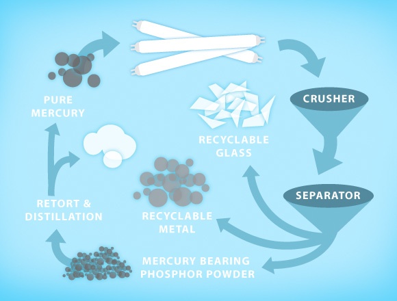 lamp-recycling-infographic.jpg